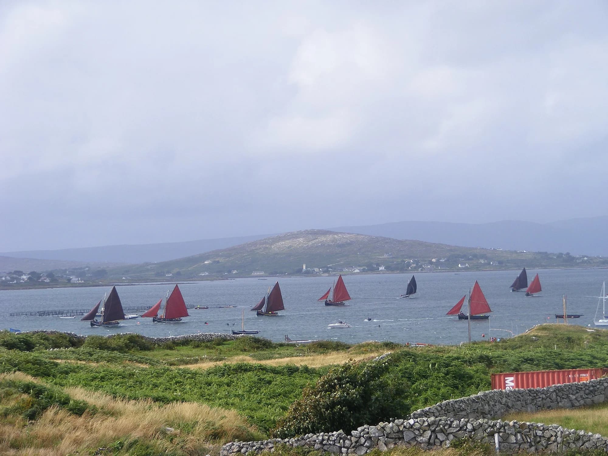 Vets in Carraroe